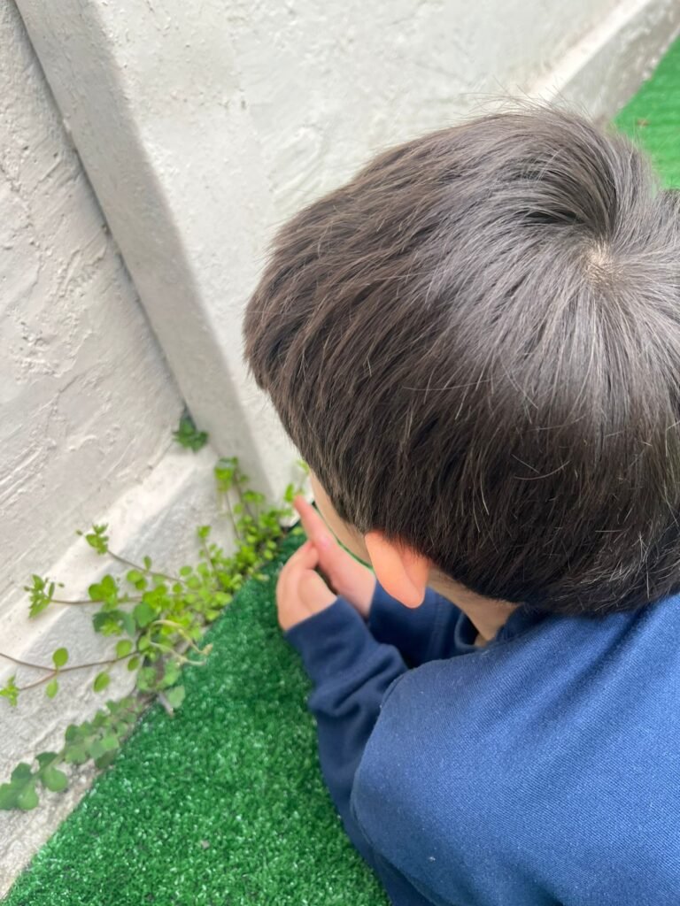 legal whatsapp image 2025 08 20 at 9.19.27 pm