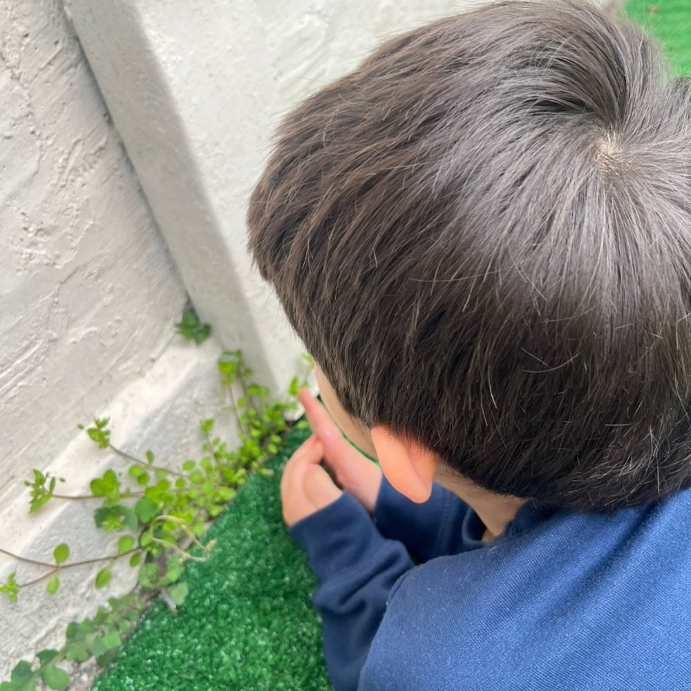 Home whatsapp image 2025 08 20 at 9.19.27 pm